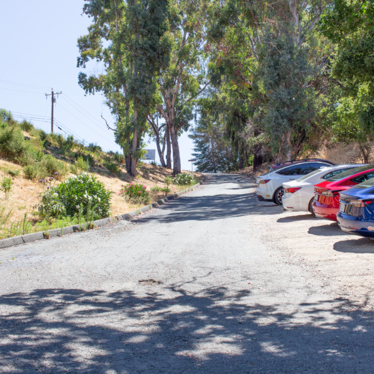 Camino Justin Descending Private Driveway