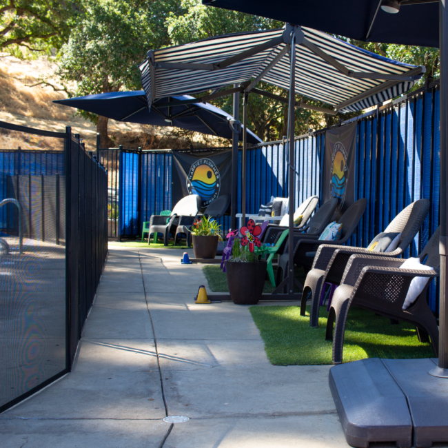 Harriet Plummer Parent Observation Area