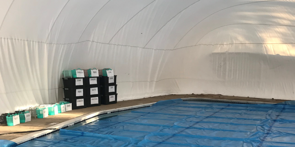 Harriet Plummer Winter Pool Enclosure Harriet Plummer Winter Pool Enclosure