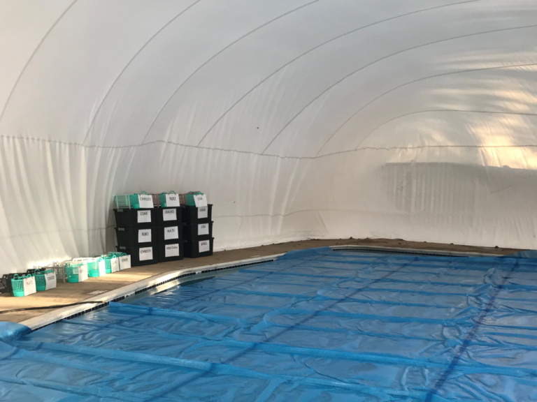 Harriet Plummer Winter Pool Enclosure Harriet Plummer Winter Pool Enclosure