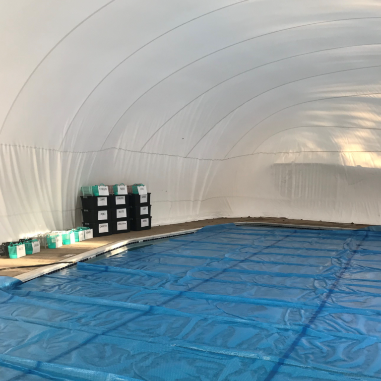 Harriet Plummer Winter Pool Enclosure