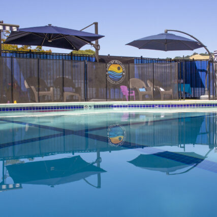 Harriet Plummer Pool with Shaded Area