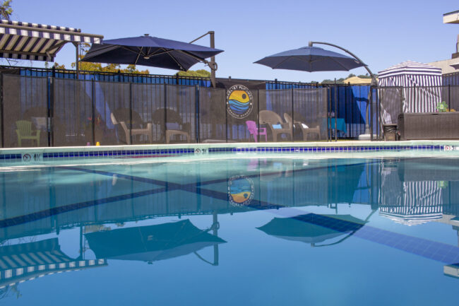 Harriet Plummer Pool with Shaded Area