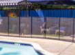 Harriet Plummer Pool and Seating Area